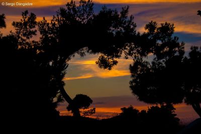 Silhouette trees on landscape against orange sky