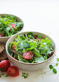 Vegan food healthy fresh vegetables salad. salad with arugula and cherry tomatoes.