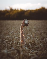 Cropped hand of woman holding compass with illuminated string light amidst wheat field