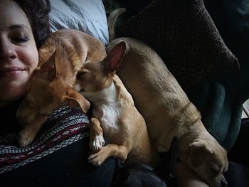 High angle view of woman with puppies sleeping on bed at home