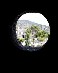 Trees seen through arch