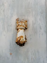 Directly above shot of rusty metal on wall