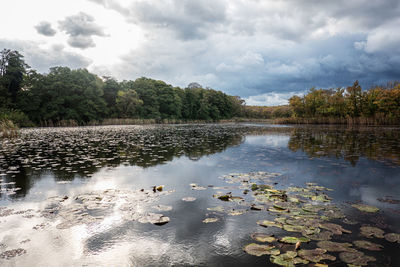 Scenic view of lake against sky