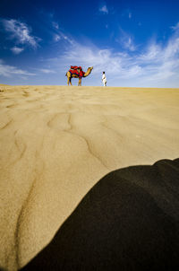 Man standing with camel on desert against sky