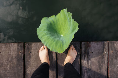 Low section of person standing on leaves