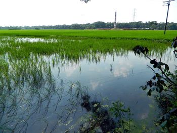 Scenic view of lake against sky