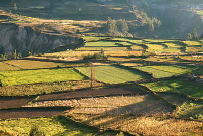 Aerial view of agricultural field, arequipa, peru