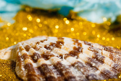 Close-up of glittery seashell