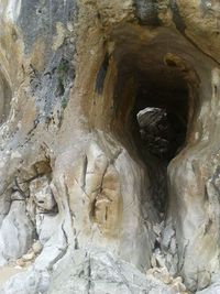 Close-up of cave