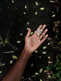 Close-up of woman hand holding flowers