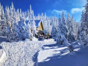 Snow covered house and trees against sky