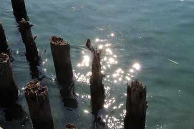 High angle view of wooden post in sea