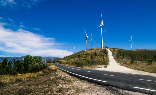 environmental conservation