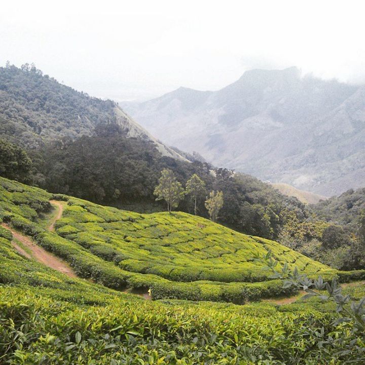 SCENIC VIEW OF VILLAGE