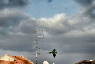 Low angle view of airplane flying in sky