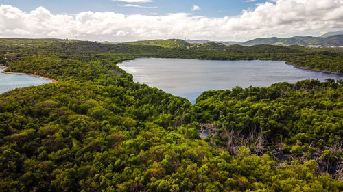 Scenic view of sea and trees against sky