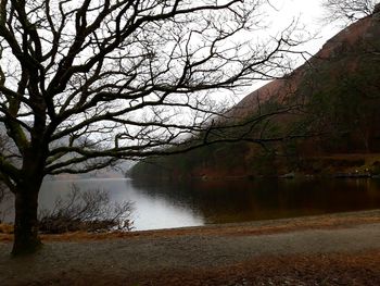 Bare trees by river against sky