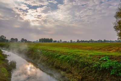 Scenic view of field against sky