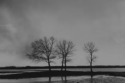 Bare tree on landscape against sky