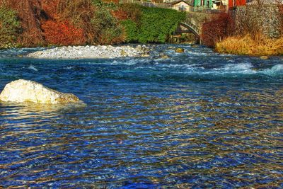 Scenic view of river flowing amidst trees