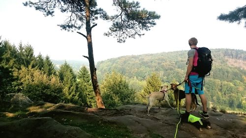Rear view of man standing with dogs on mountain