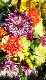 Close-up of purple flowers