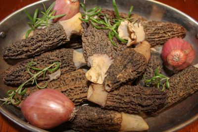 High angle view of mushrooms in container