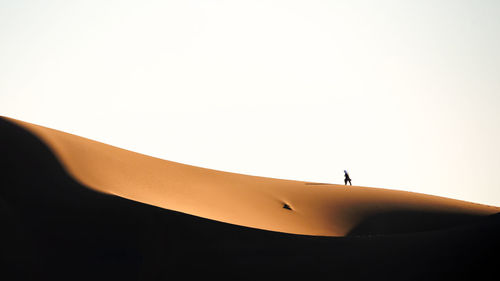 Nature and landscapes of dasht e lut or sahara desert with one man walking on a sand dunes