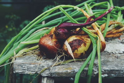 Close-up of raw onions on old table