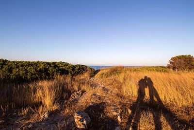 Scenic view of landscape against clear sky