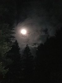 Low angle view of silhouette trees against sky at night