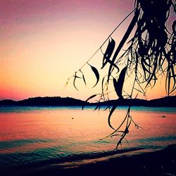 Scenic view of sea at sunset