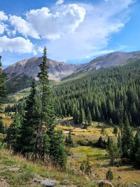 Independence pass, colorado