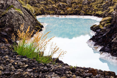 Scenic view of rocks in sea