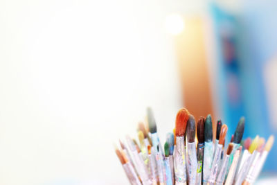 Close-up of multi colored pencils