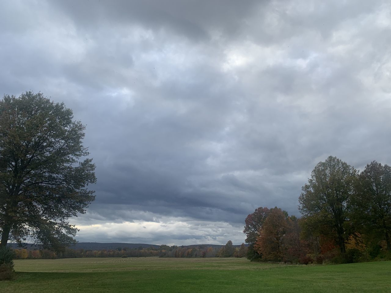 TREES ON FIELD AGAINST CLOUDY SKY