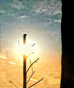 Low angle view of silhouette bird against sky