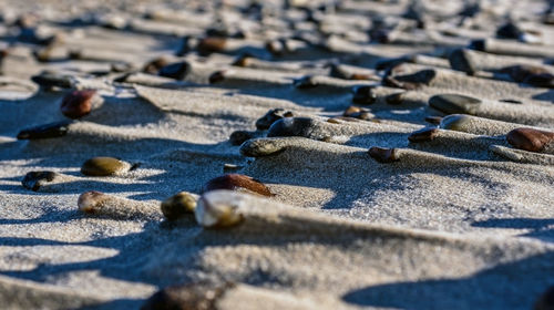 Close-up of pebbles on sand