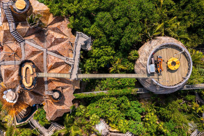 Beautiful wooden huts and buildings in the middle of a forest.