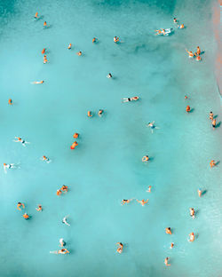 High angle view of people swimming in pool