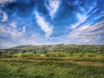 Scenic view of field against sky
