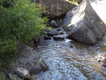 Water flowing through rocks in forest