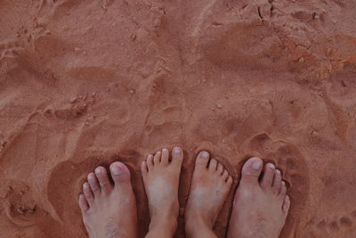 Low section of father with child standing on sand at beach