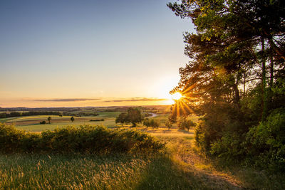 Scenic view of field against sky during sunset