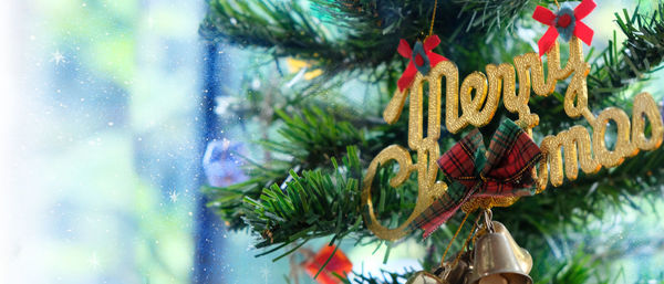 Close-up of christmas decorations hanging on tree