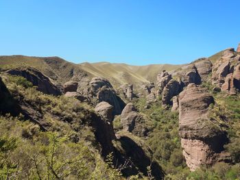 Scenic view of landscape against clear blue sky