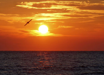 Scenic view of sea against orange sky