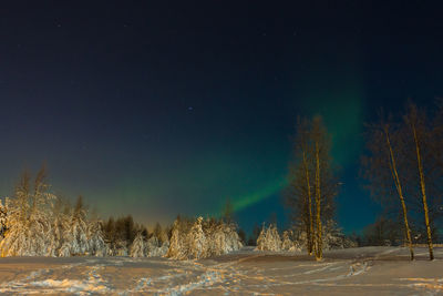 Trees on field against sky at night during winter