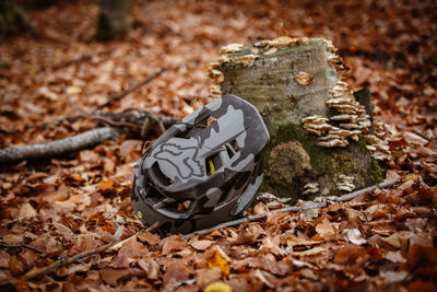 High angle view of dry leaves on field during autumn