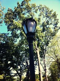Low angle view of street light against sky